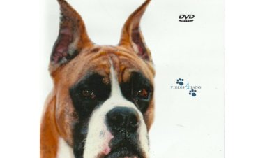 Compre o Dvd - O Boxer - Documentário