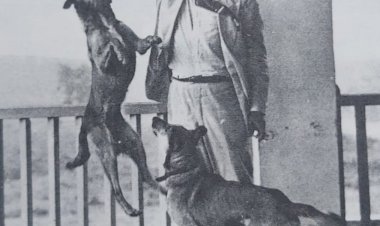 1930 - Júlio Prestes Vence, os Aliancistas Conspiram