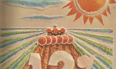 Compre aqui Revista Visão - A Agricultura e a Inflação (11-06-73)