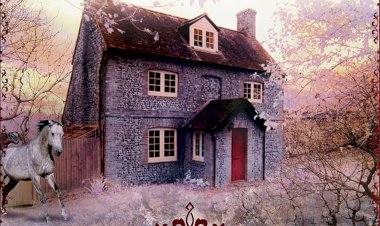 Bruxa da Noite, Livro Um da Trilogia Primos O'Dwyer, Nora Roberts