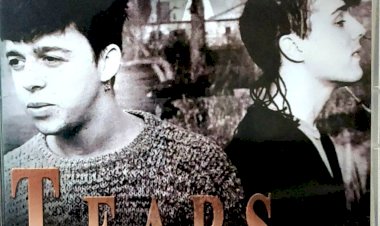 Dvd Tears For Fears, Best Hits Collection