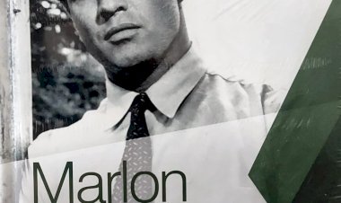 Dvd Vidas em Fuga, Marlon Brando, Coleção Folha Grandes Astros