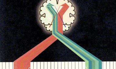 Cd The Brain, Access and Amplify, Importado USA, 741157976724