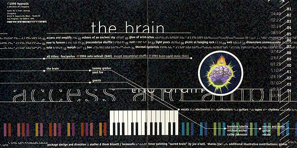 Cd The Brain, Access and Amplify, Importado USA, 741157976724
