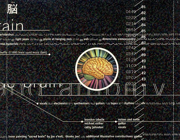 Cd The Brain, Access and Amplify, Importado USA, 741157976724